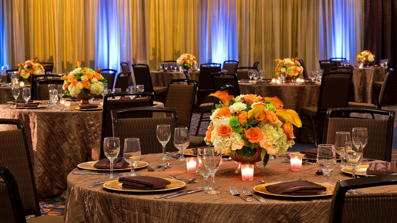 Sheraton Tampa Brandon Hotel Επιχειρήσεις φωτογραφία